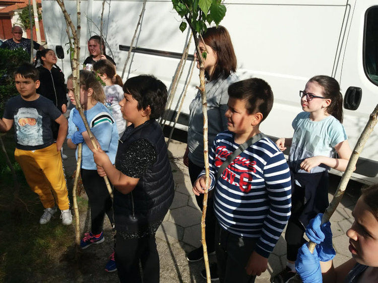 Четвъртокласници засадиха дръвчета в парка