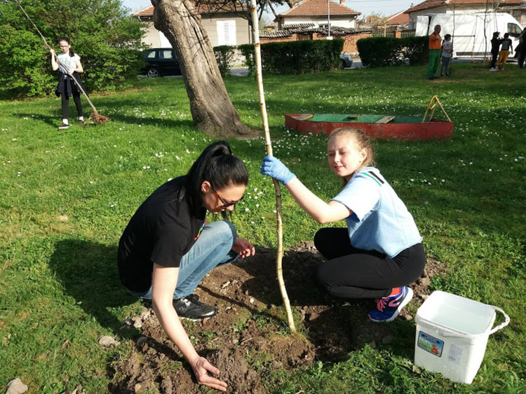 Четвъртокласници засадиха дръвчета в парка
