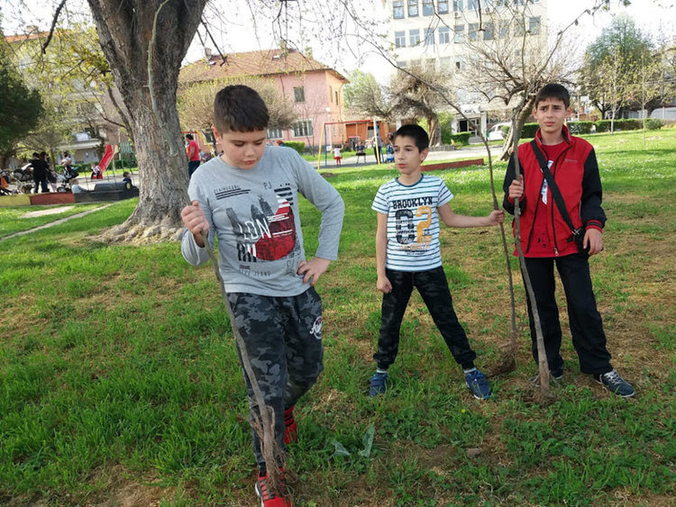 Четвъртокласници засадиха дръвчета в парка