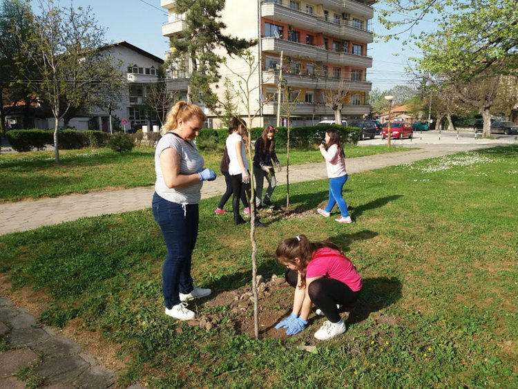 Четвъртокласници засадиха дръвчета в парка