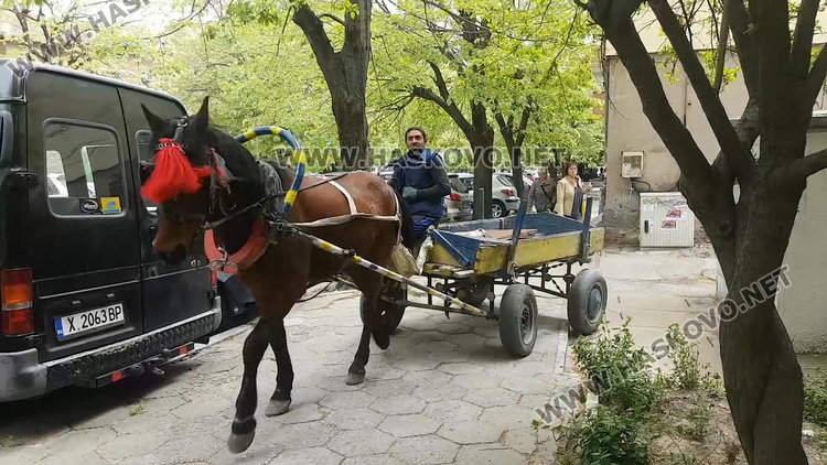 Конска каруца пердаши по тротоара в центъра на Хасково (видео)