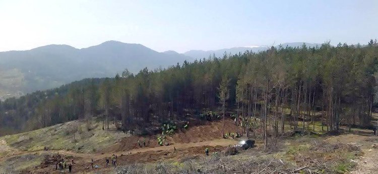 Ученици в акция „Да създадем и осиновим гора“