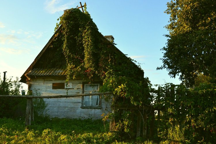 Снимки от древната гора, заради която Полша наруши законите на ЕС