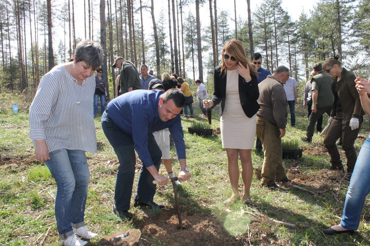 Никола Чанев се включи в залесяване при Кьосево