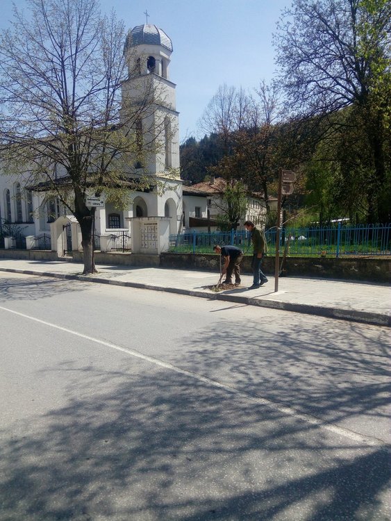 Обществено порицание на село: чупиш дървета – садиш нови пред всички