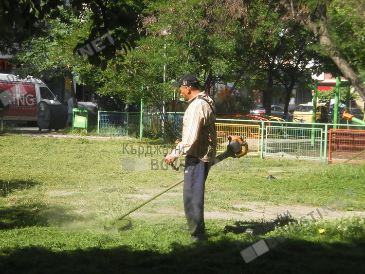 Напаст от кърлежи в Кърджали, препаратите не помагат