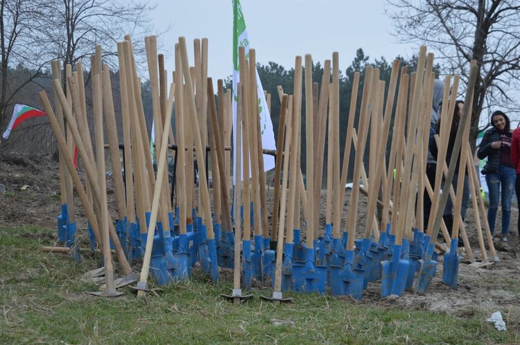 20 хиляди дръвчета чакат доброволци в разсадника в село Смилян