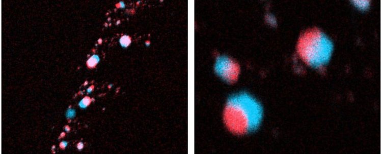 Диамантите в метеорита Алмахата Сита. Сн.: Nabiei et al./Nature Communications