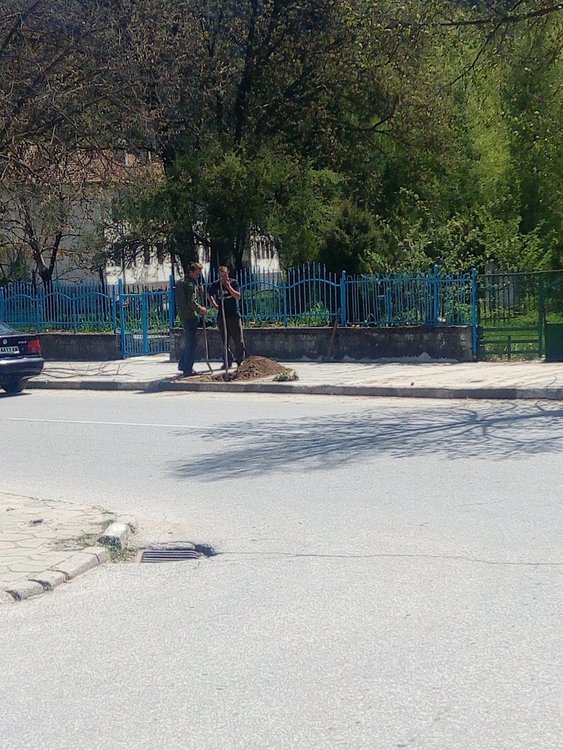 Обществено порицание на село: чупиш дървета – садиш нови пред всички