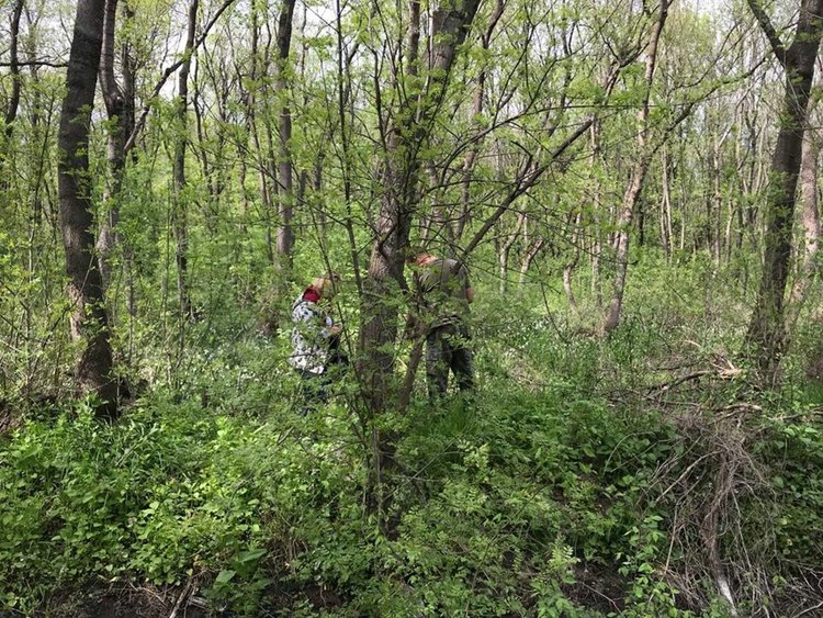 Цъфна блатното кокиче в най-голямото находище