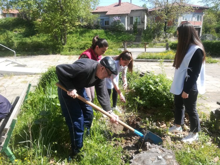 Млади и стари садиха дръвчета в съвместна акция