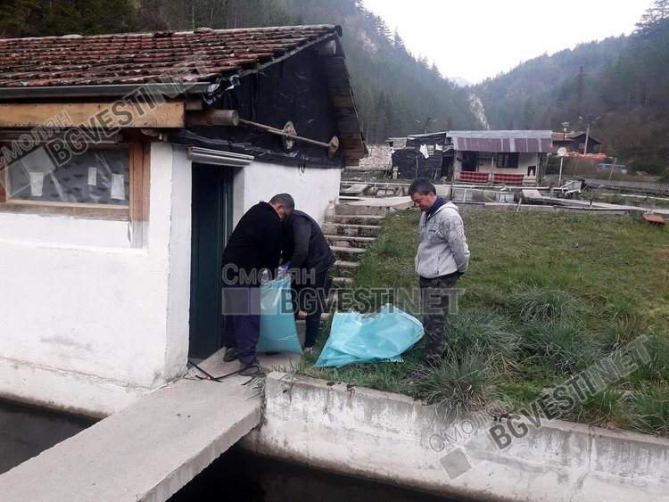 12 хиляди пъстърви пуснати в река Арда след кампания на Смолянските мухари