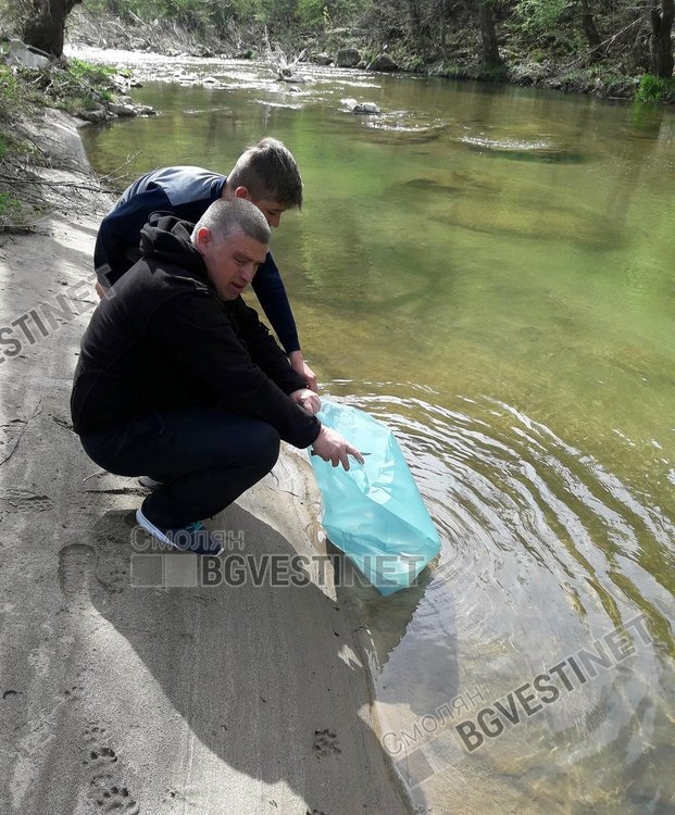 12 хиляди пъстърви пуснати в река Арда след кампания на Смолянските мухари
