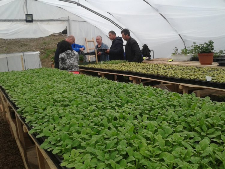 Смолян и Кишпещ си разменят домати и саксии с цветя