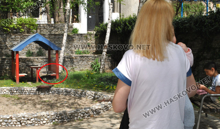 Съседи пропищяха от смрад и бълхи от котки в блок в центъра на Хасково