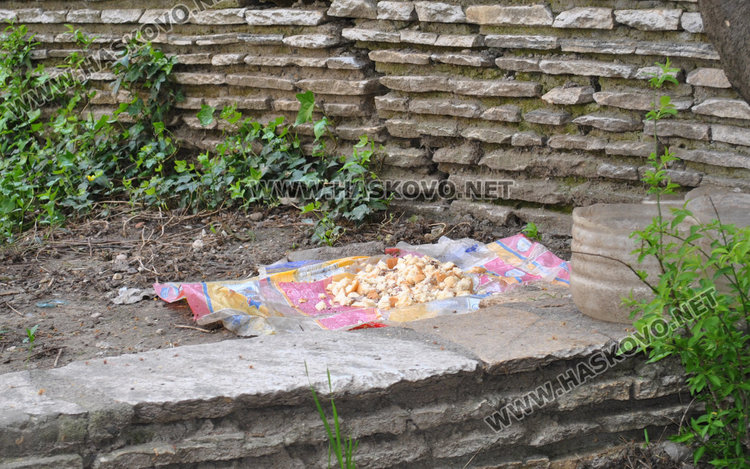 Съседи пропищяха от смрад и бълхи от котки в блок в центъра на Хасково