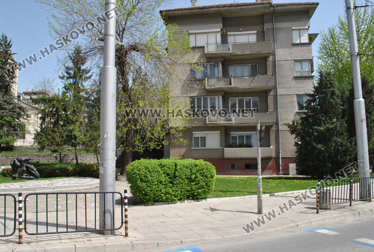 Съседи пропищяха от смрад и бълхи от котки в блок в центъра на Хасково