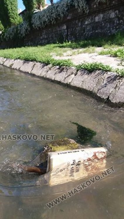 Пуснаха по течението на хасковския канал Вазов и Пелин
