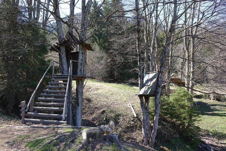 Снимки интренет