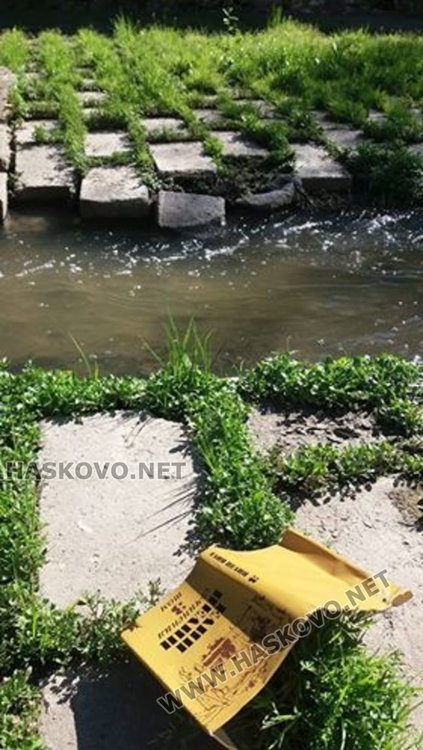 Пуснаха по течението на хасковския канал Вазов и Пелин