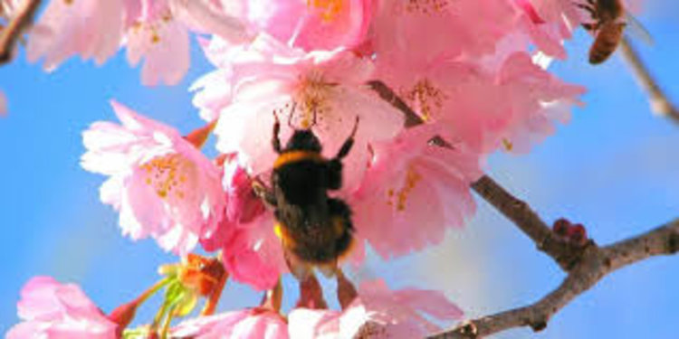 Слънчево и топло във вторник, вземете чадърите