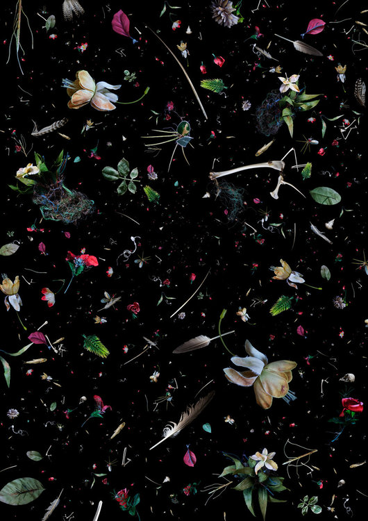 СУПА - разрушен спомен. Състав; пластмасови цветя, листа, стъбла и риболовни принадлежности. Добавени са кости, черепи, пера и риба.