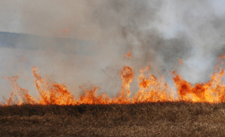 Обявиха периода на пожароопасния сезон