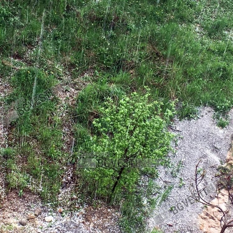 Гръмотевична буря, силен дъжд и градушка в Смолян