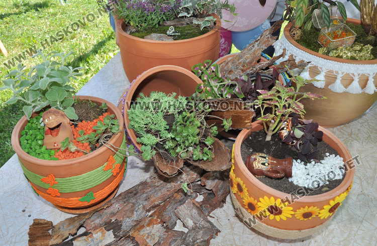 Царската гимназия отвори врати за бъдещите си  ученици