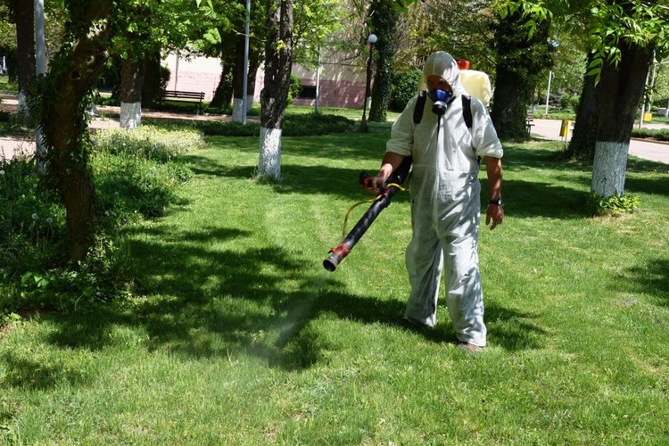 Пръскат срещу кърлежи в Ардино 