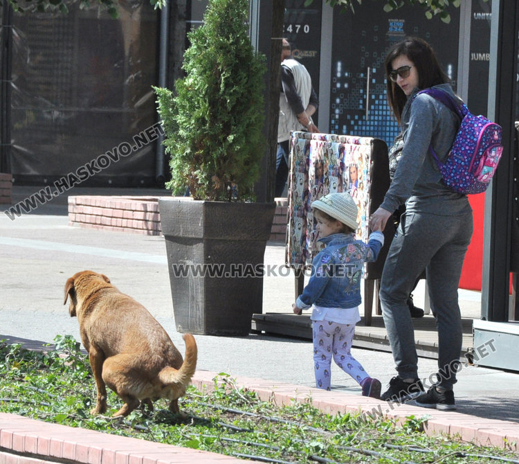 Шадраванът спасява от априлската жега в Хасково