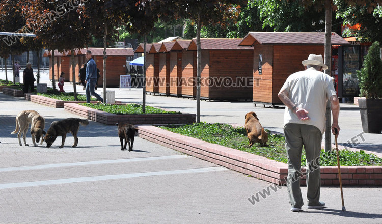 Шадраванът спасява от априлската жега в Хасково