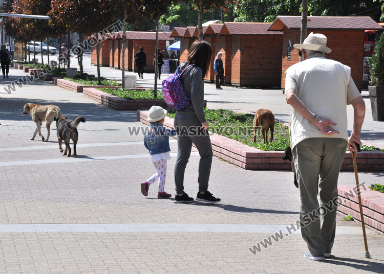 Шадраванът спасява от априлската жега в Хасково