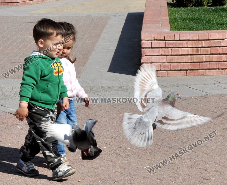 Топъл понеделник, но с променлива облачност