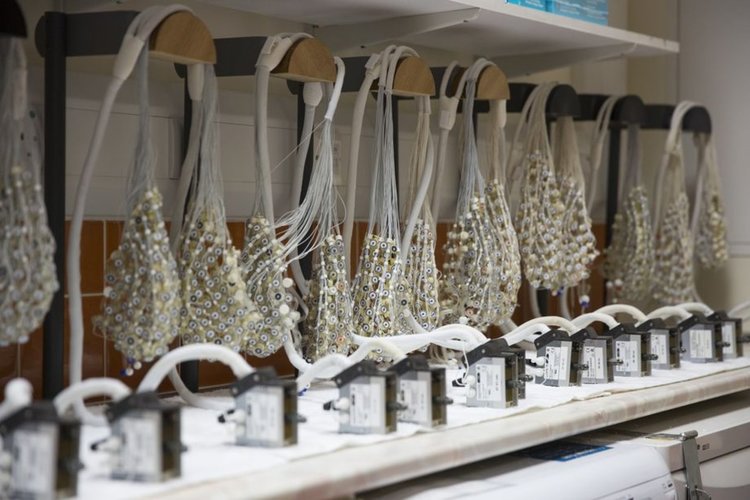 Китайски компании "извличат данни директно от мозъка на работниците"