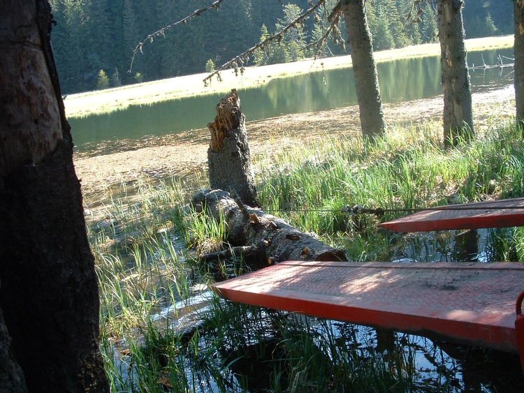 Млади хора организираха първата акция за почистване на Тревистото езеро край Смолян