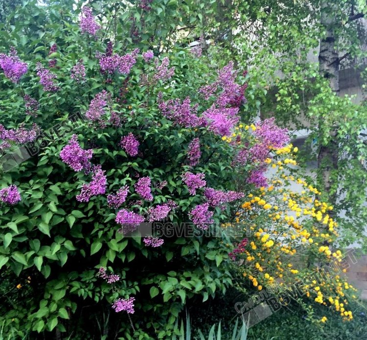 Топло и облачно в  петък