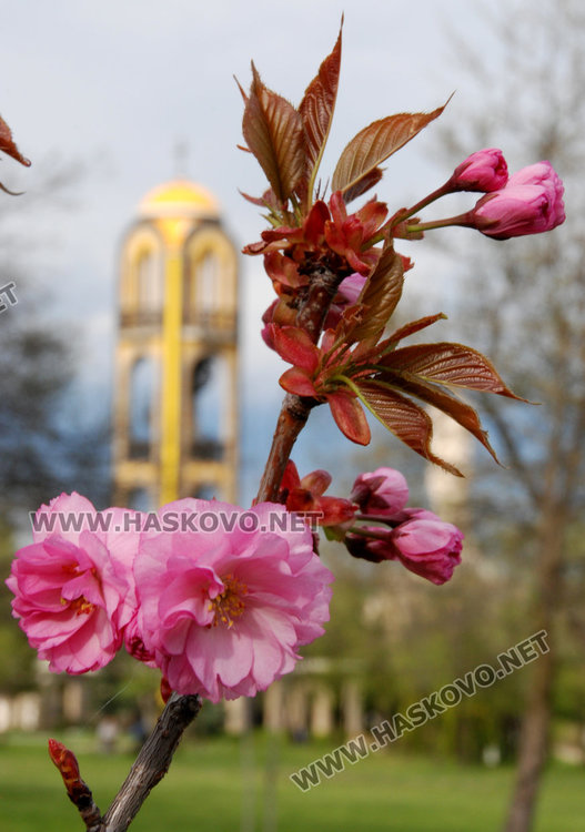 Фотоконкурс на областния събира за 1 юни снимки с красотите на Хасково