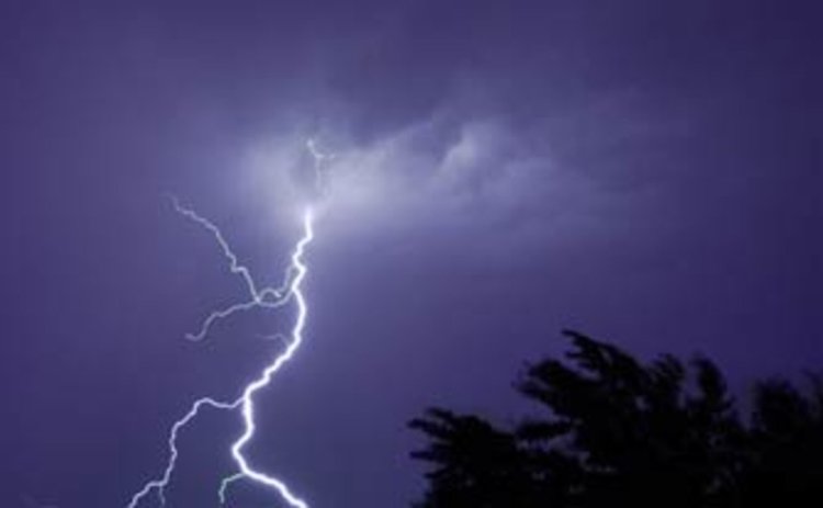 Мълния пали сухи треви, пожарникари вадиха змия от гараж