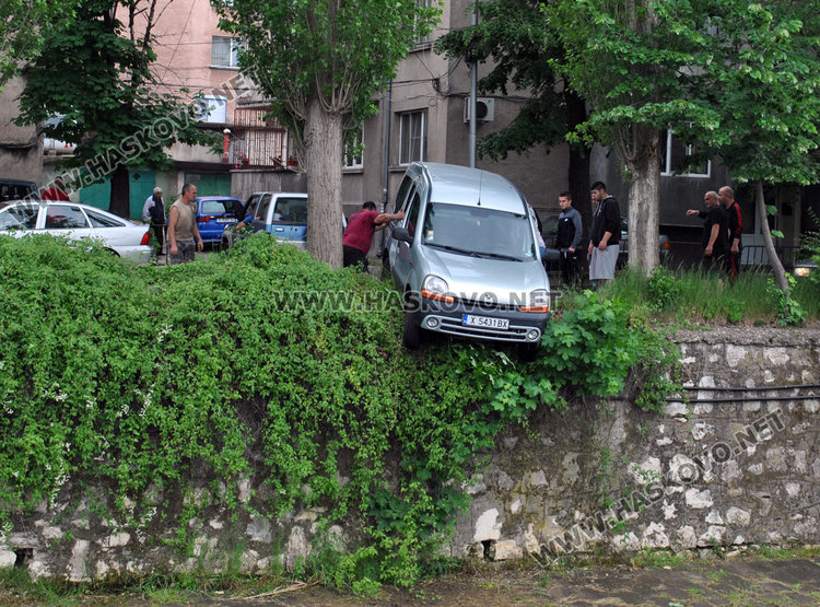 Рено увисна над реката заради падащ клон от топола