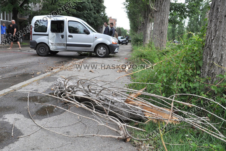 Рено увисна над реката заради падащ клон от топола