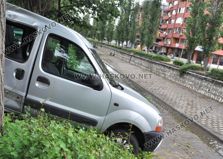 Рено увисна над реката заради падащ клон от топола