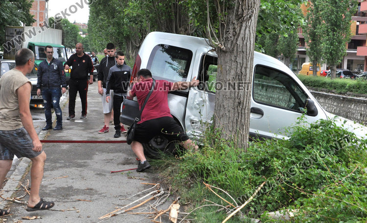 Рено увисна над реката заради падащ клон от топола