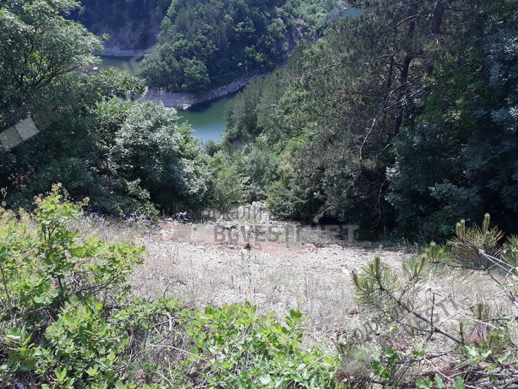 Кланици затрупват с животински кости райски кътчета край Кърджали, местните хора искат възмездие