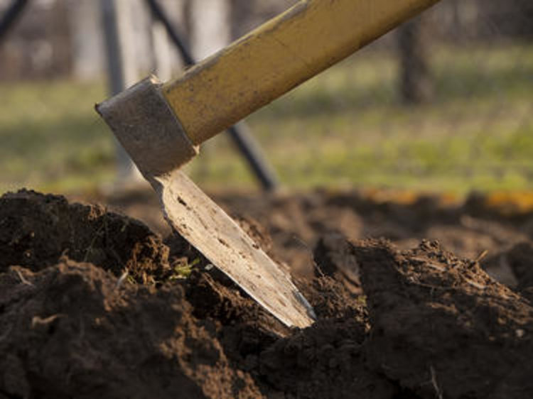 Деца крадат вила и мотика