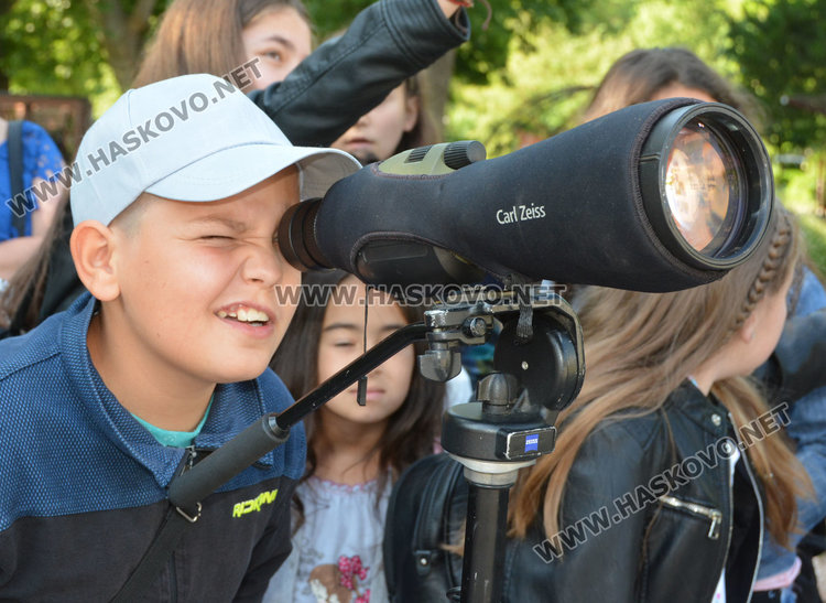 Хасковлии броят врабчетата в Градската градина