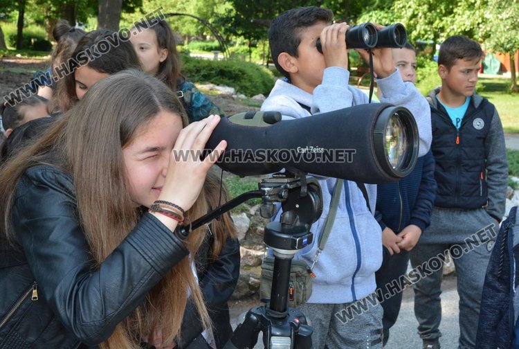 Хасковлии броят врабчетата в Градската градина