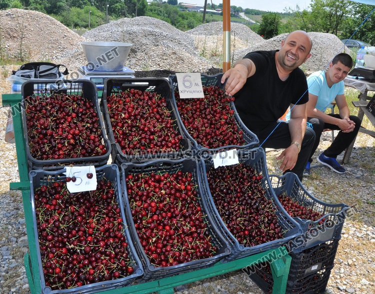 За седмица цената на черешите падна наполовина
