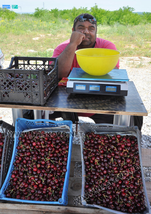 За седмица цената на черешите падна наполовина