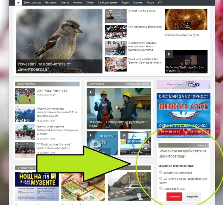 Изчезват ли врабчетата от Димитровград? -АНКЕТА